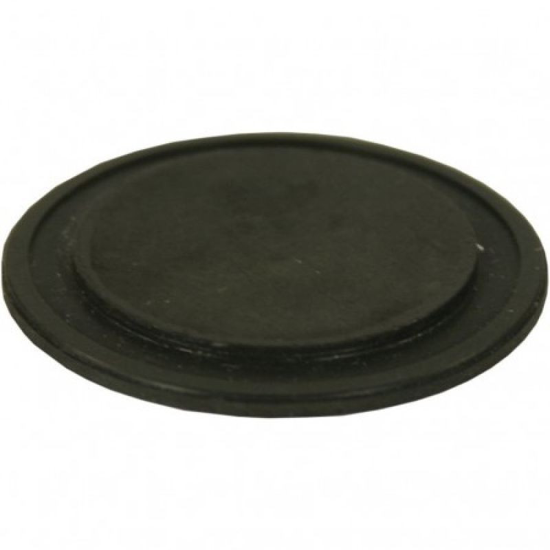 SP brandstof membraan